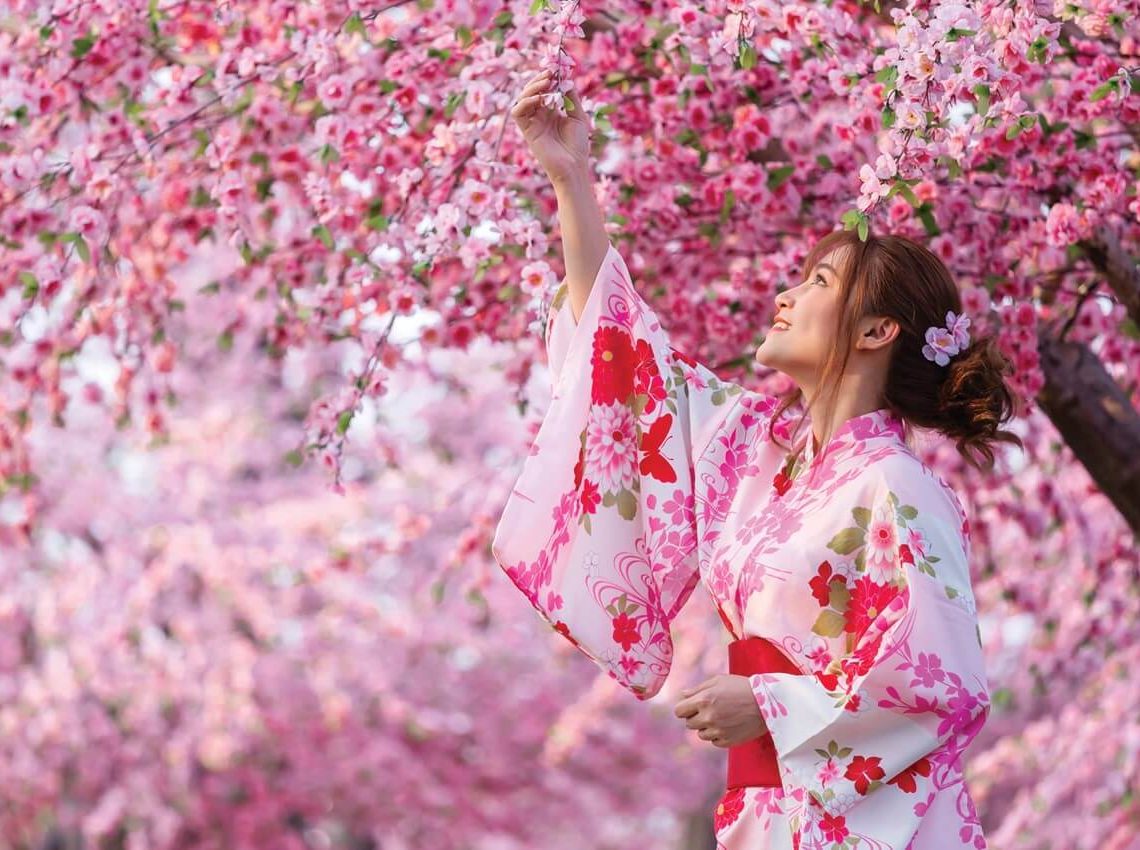 Japanese Cherry Blossom Festival: A Celebration of Spring and Renewal