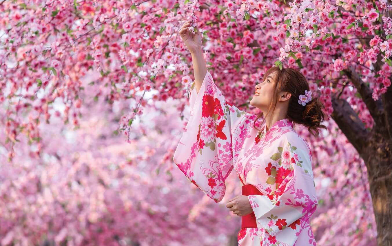 Japanese Cherry Blossom Festival: A Celebration of Spring and Renewal